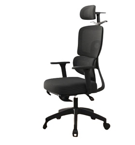 Silla de Escritorio Ergonómica con Reposapiés 819 Negro